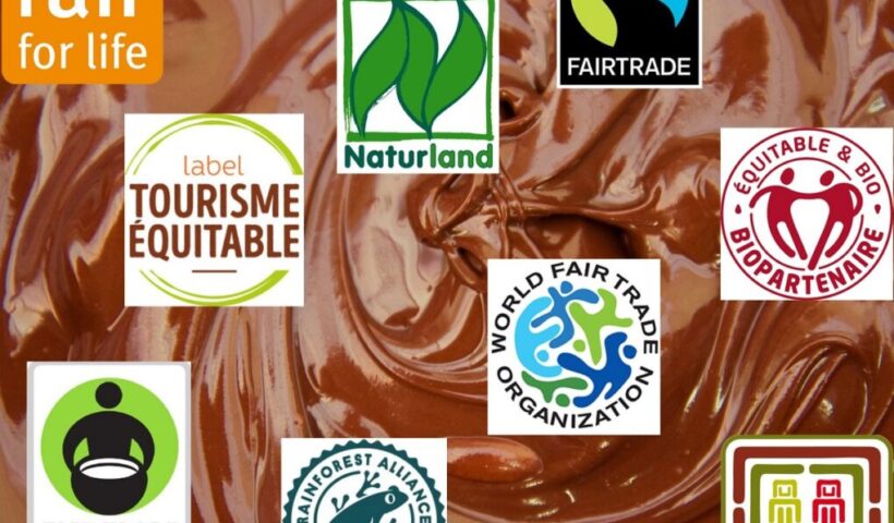 Choisir des produits écoresponsables Les clés pour un impact positif sur l environnement